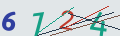 verifycode